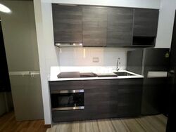 Sims Urban Oasis (D14), Condominium #502203461